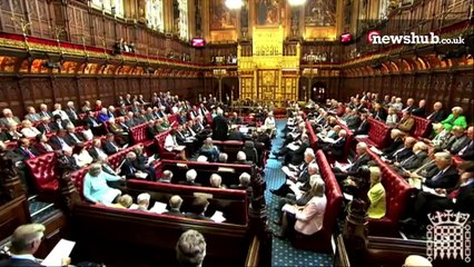 How the Lords works with the Commons to make a bill law | A day in the life