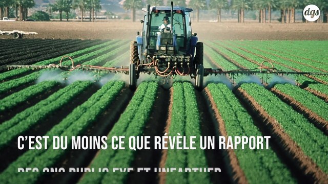 L'Union européenne a autorisé l'exportation de pesticides toxiques qu'elle a pourtant interdit