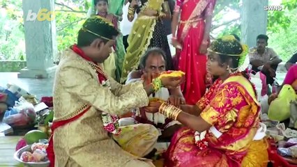 Monkeying Around! A Bride Let Out Quite a Scream After a Monkey Jumps on Her Head