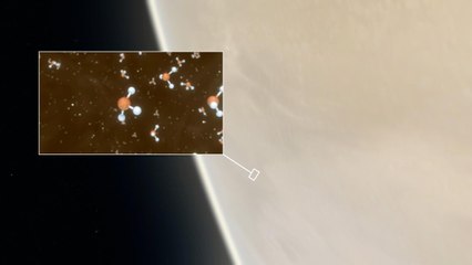 Indicios de vida en Venus: ¿qué puede significar la presencia de fosfina?