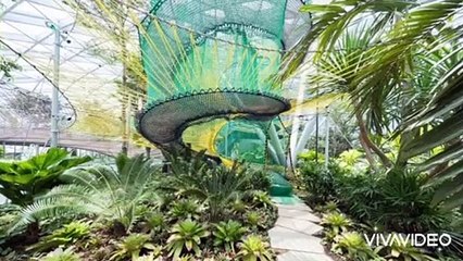 Changi Airport Singapore