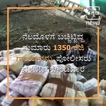 Bengaluru Police Bust Major Drug Racket, Seize 1.3 Tonnes Ganja In Kalaburagi