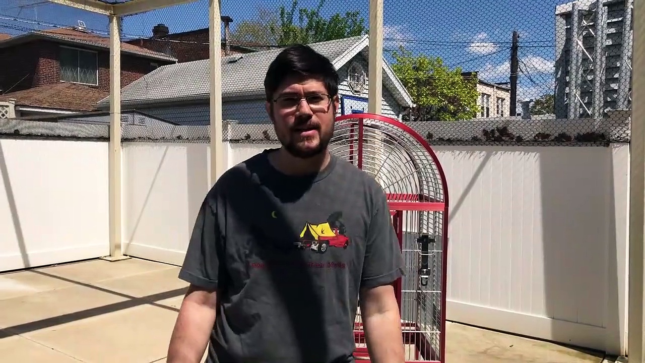 Truman Cape Parrot Update and Cage Swap Out