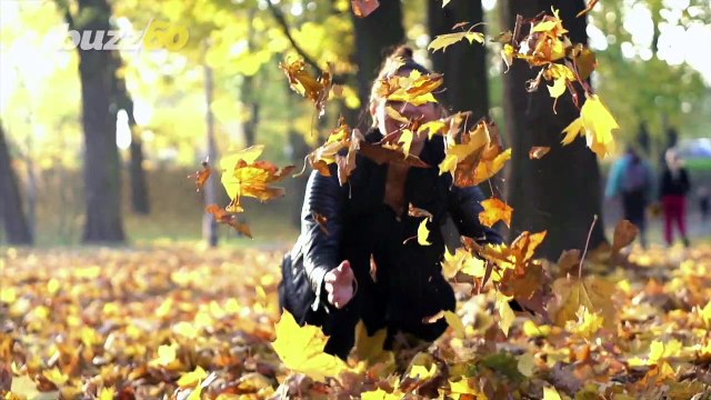 Obsessed With Fall? There's a Scientific Explanation for It!