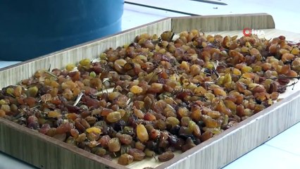 TMO 10 günde 10 bin ton üzüm alımı gerçekleştirdi