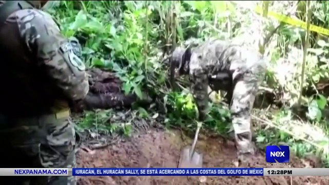 Investigan identidades de los restos óseos encontrados en fosa clandestina - Nex Noticias