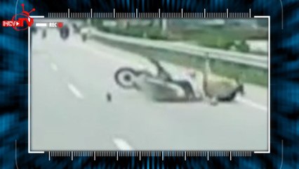 Camera Cận Cảnh tập 111: Xe máy tông phải con bò trên đường quốc lộ.