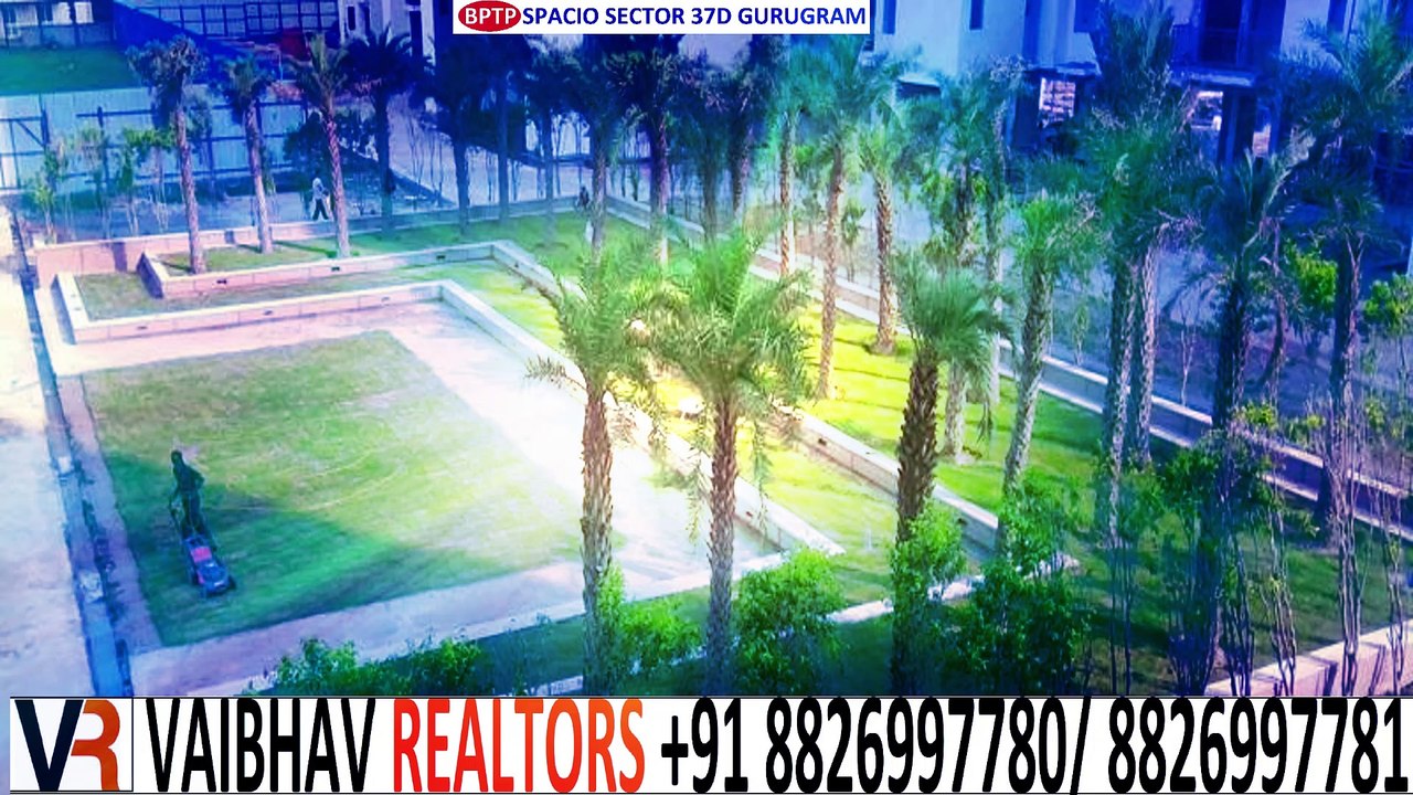 Bptp Spacio  3 BHK 1303 Sq.ft  14th  Floor  Resale Best Deal 70 Lac Sector 37D GGN Call +91 8826997781