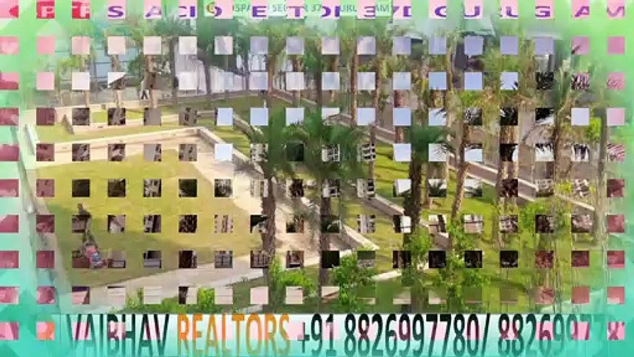 Bptp Spacio   Resale Apartments 3 BHK 1303 Sq.ft Sector 37D GGN Call +91 8826997781