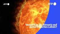 Videografik: Venus-Gas als Hinweis für außerirdisches Leben?