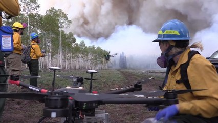 The U.S. Forest Service Says It Knows How To Stop Wildfires