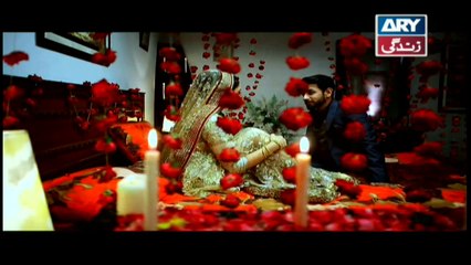 Bubbly Kya Chahti Hai Episode 105 & 106 - ARY Zindagi Drama