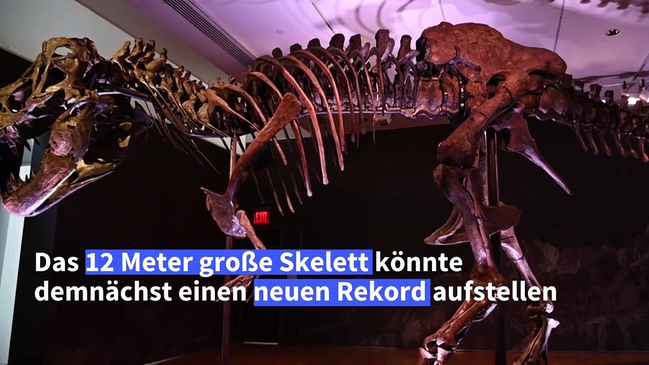 T-rex-skelett bald in millionenhöhe versteigert