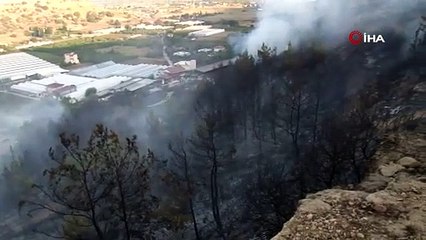Antalya'da çalılık alanda yangın çıktı