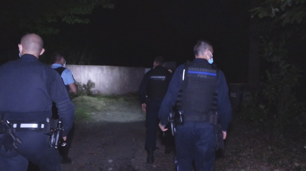 Chevaux mutilés. L'onde de choc en Bretagne