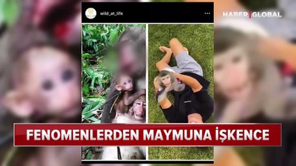Fenomenlerden maymuna işkence