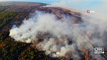 Son Dakika Haberler: Kızılırmak Deltası Kuş Cenneti'nde yangın | Video