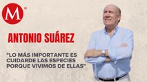 Antonio Suárez: en la pesca, lo importante es cuidar de las especies