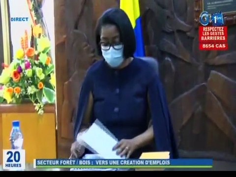 RTG / Présentation de la stratégie à mettre en oeuvre pour la diminution du taux de chômage au Gabon faite par le Ministre Lee White