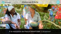 Histoires D'Arts : Avec Pascal MANITOBA l'anartiste