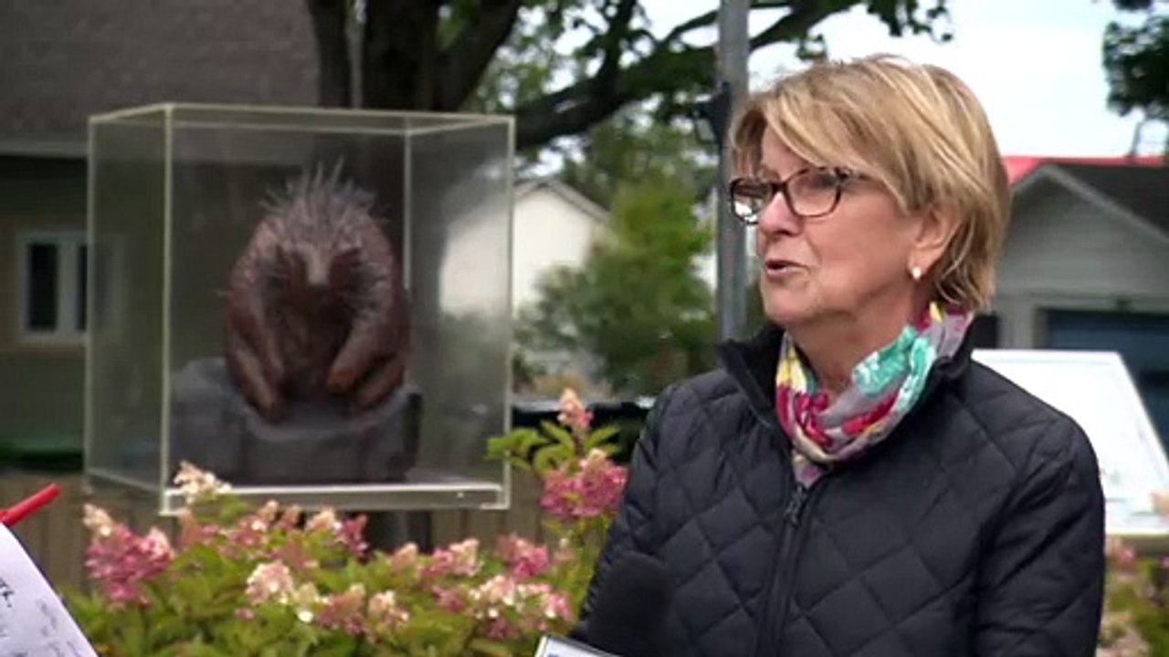 Les aspects techniques d'une traverse au port de Gros-Cacouna