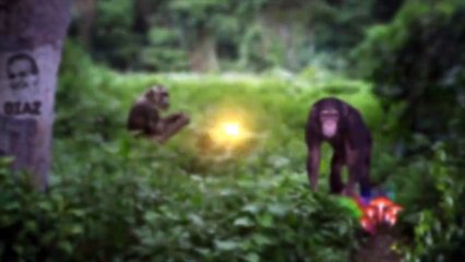 Joe Rogan Podcast - How Would the US Government Handle Discovery of Alien Technology
