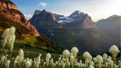 Glacier National Park Losing Glaciers Fast