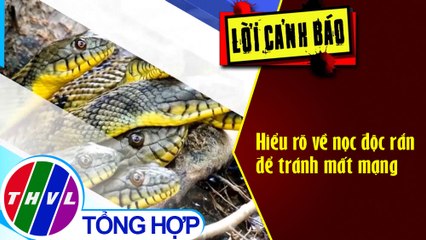 Hiểu rõ về nọc độc rắn để tránh mất mạng