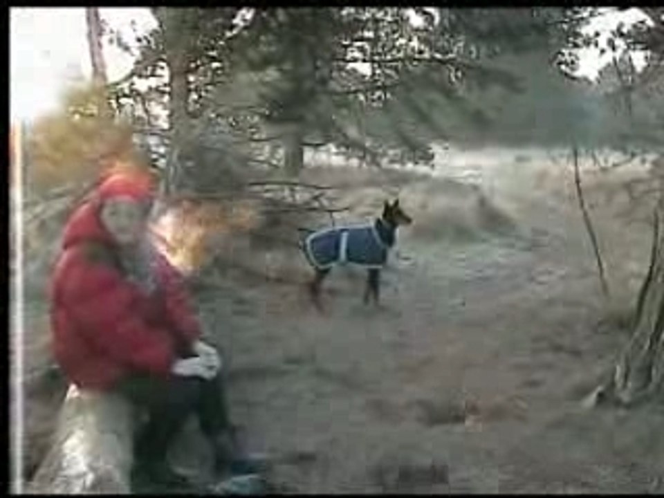 Nancy reveillon 2007 2008