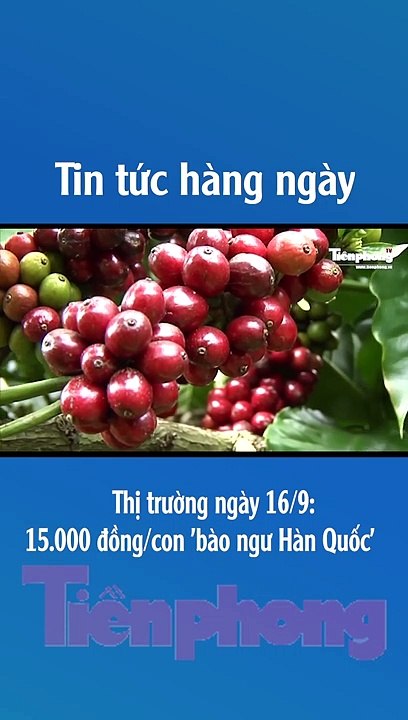 Thị trường ngày 16