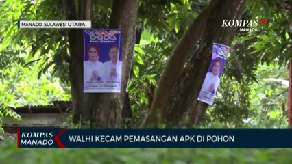Walhi Kecam Pemasangan APK Di Pohon