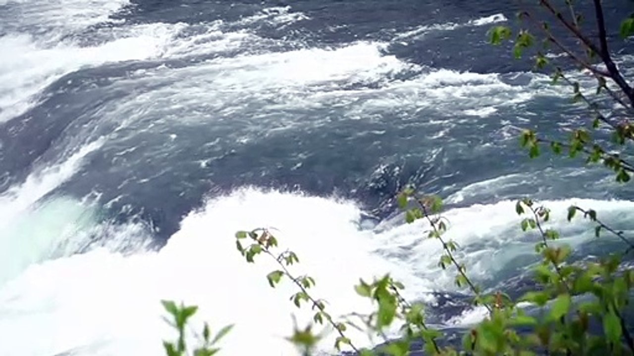 Deep breath | Maintain calmness | Explore Nature