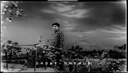 DILDARA DILDARA WE NOOR JAHAN