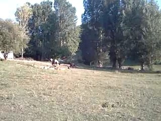 Tites o galop+loulou