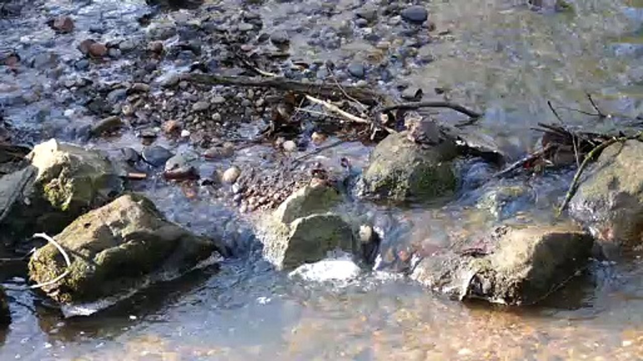 小川　by吉原結衣