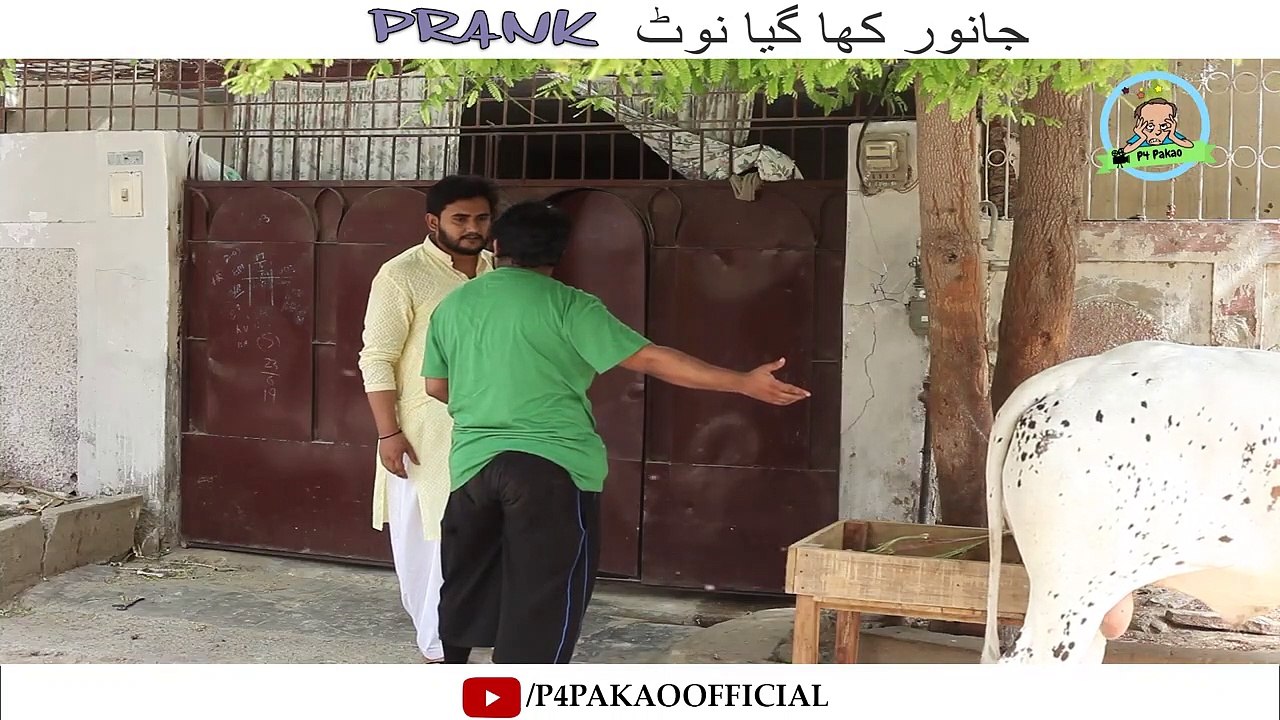 Janwar Kha Gaya Note Prank By Nadir Ali & Team P4Pakao