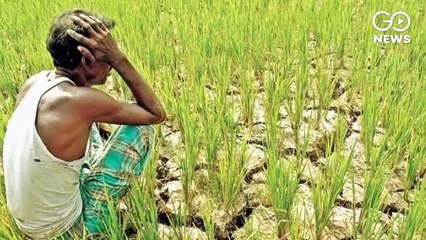 चीनी मिलों पर गन्ना किसानों का 15,683 करोड़ बकाया, यूपी के किसानों का दस हज़ार करोड़ पेंडिंग