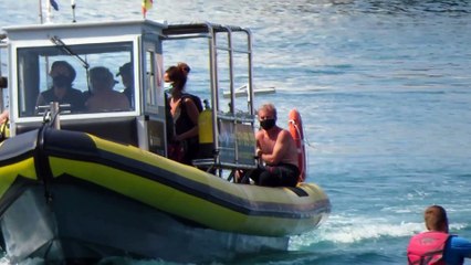 Fernando Simón en Mallorca