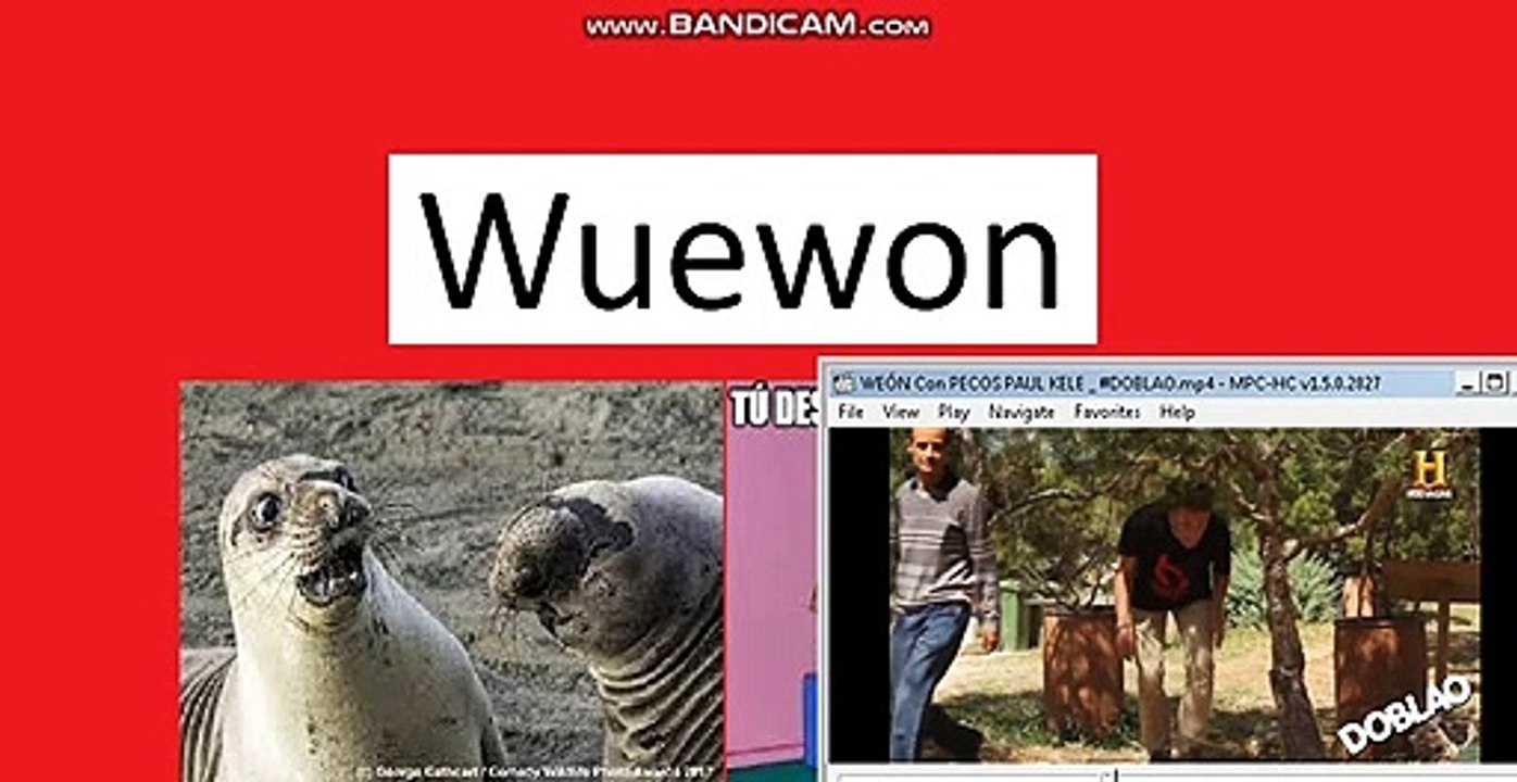hola wuewon doblao comedia humor video de risa y chistes