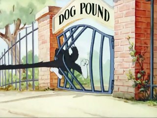 Puttin' on the dog funny tom and jerry classic