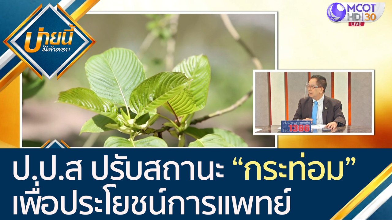 ป.ป.ส ปรับสถานะ “กระท่อม”เพื่อประโยชน์ทางด้านกา...