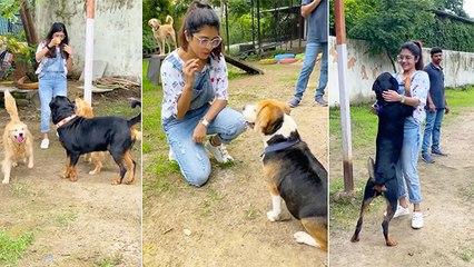 Sanskruti Balgude Pays Visit To Dog Farm