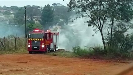 Área de mata é atingida por incêndio às margens da rodovia BR-277