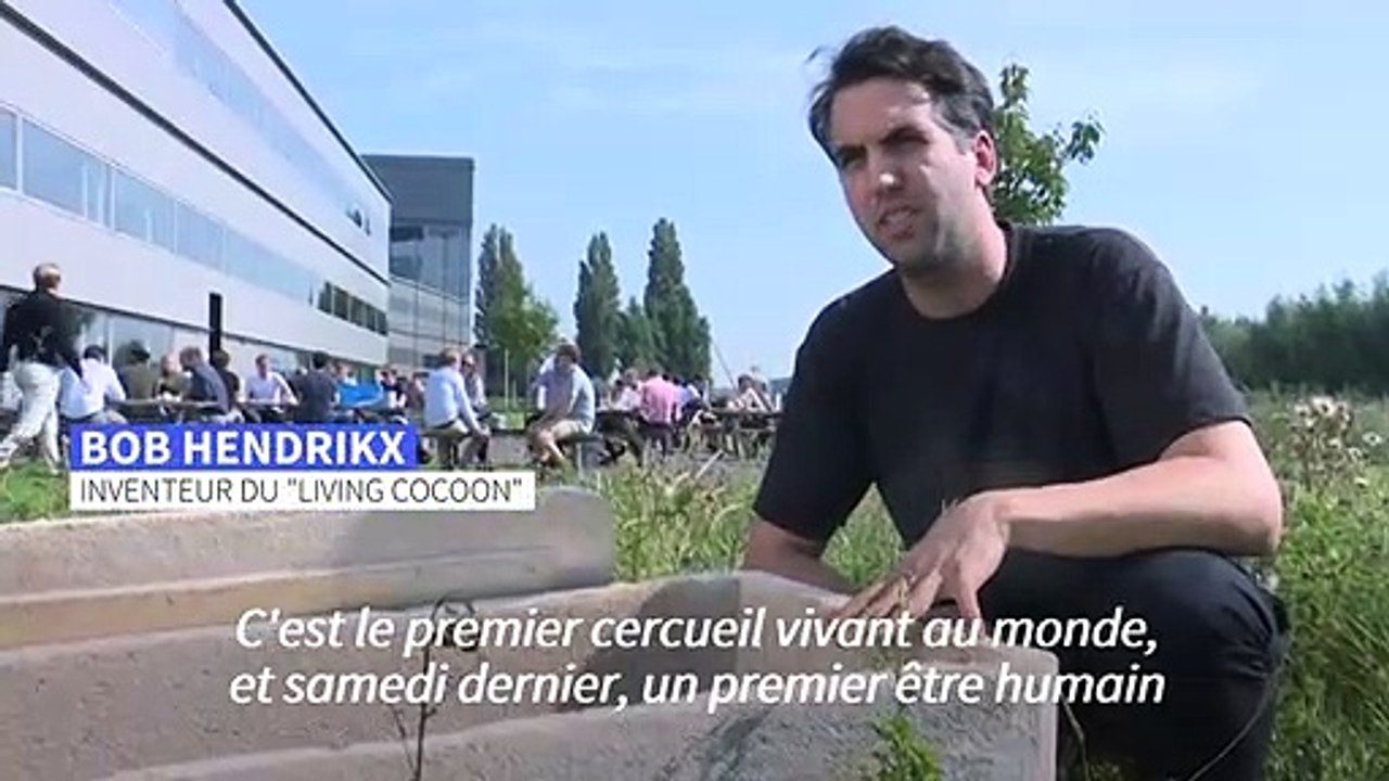 Pays-Bas: un cercueil à base de champignons pour préserver la nature