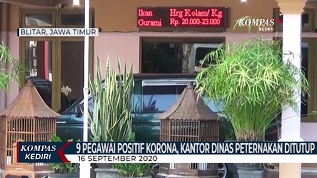 9 Pegawai Dinas Peternakan Dan Perikanan Kabupaten Blitar Positif Corona
