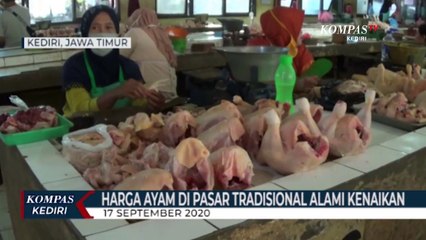 Pasokan Berkurang, Harga Daging Ayam Alami Kenaikan