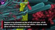 COVID-19| Infected Respiratory Cells: ফুসফুসের রন্ধ্রে-রন্ধ্রে করোনা, গবেষকদের ছবিতে আঁতকে উঠবেন