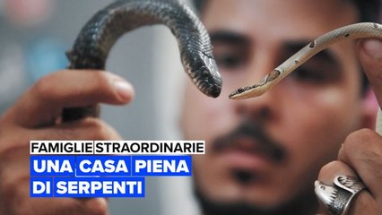 Famiglie straordinarie: Una casa piena di serpenti