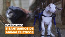 Por el mundo: 5 santuarios que vale la pena visitar