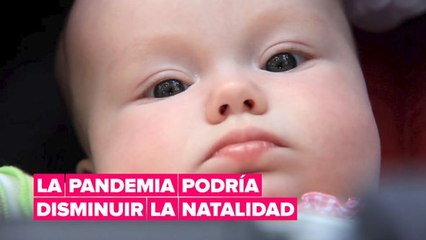 La pandemia podría disminuir la natalidad en EEUU